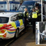 15 éves lányt szurkált halálra egy tinédzser srác egy észak-angliai város központjában egy másik fiatalt pedig a híres londoni Harrods áruház kellős közepén késeltek meg