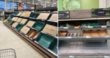 Figyelem! Több szupermarket is bejelentette, hogy korlátozza a gyümölcsök és zöldségek eladását Nagy-Britanniában 14