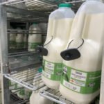 Az egyik Tescoban már a tejekre is elkezdtek lopásgátlót tenni Angliában, annyi a lopás
