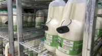 Az egyik Tescoban már a tejekre is elkezdtek lopásgátlót tenni Angliában, annyi a lopás 2