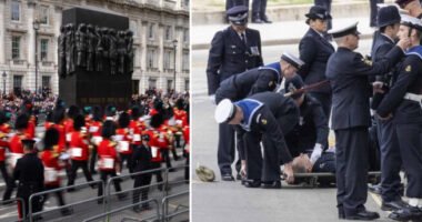 Egy férfi a koporsót szállító menet elé próbált ugrani, egy rendőr pedig összeesett a királynő temetésén