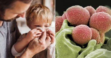 Rövid időn belül már a nyolcadik kisgyerek halt meg Streptococcus A-ban Nagy-Britanniában, és jóval magasabb a súlyos esetek száma