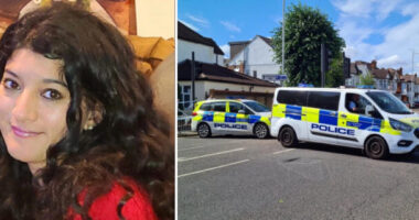 Sétálgatás közben egy férfi megtámadott és megölt egy fiatal nőt Londonban a nyílt utcán, akit még csak nem is ismert 25