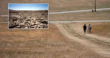 Hivatalosan is aszály van Anglia területének több, mint a felén: akár a háztartások vízfelhasználását is korlátozhatják, limitálhatják