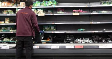 „Az élelmiszer árak emelkedésében a legrosszabb rész még csak most jön Nagy-Britanniában” - a Sainsbury’s volt vezérigazgatója nyilatkozott