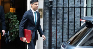 "Kemény év jön Nagy-Britanniában..." - a brit miniszterelnök újévi üzenete a szigetország lakóinak