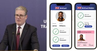 Hatalmas fordulat a digitális személyi igazolványok kapcsán Nagy-Britanniában