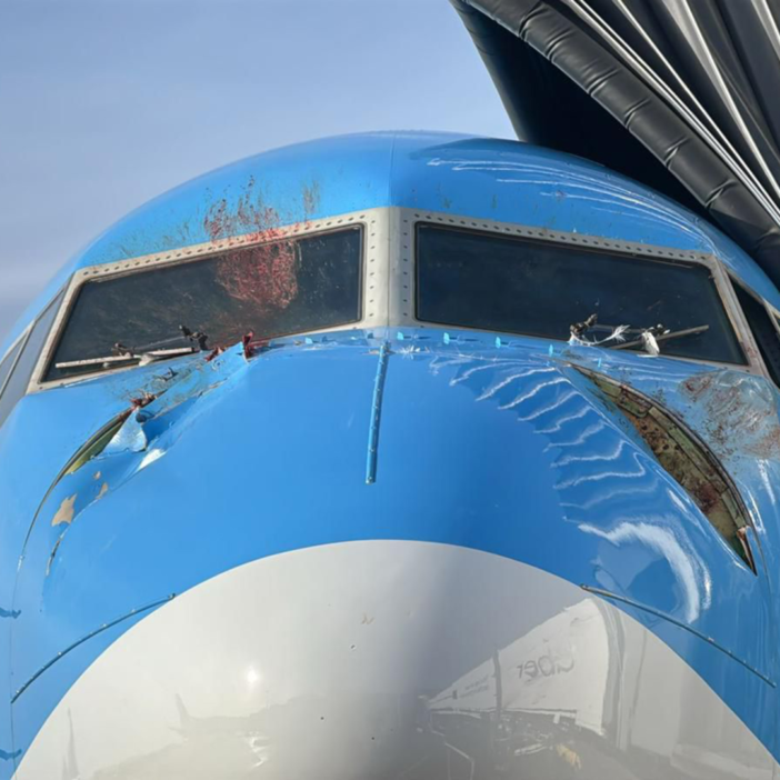 Vészhelyzet alakult ki az egyik London Gatwickről induló repülőgépen, miután felszállás közben 2 hattyú csapódott a gépnek 4