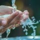 drinking-water