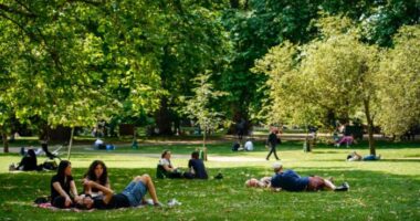 Katasztrófa London szívében: egy diák szíve megállt áramütéstől a St James’ Parkban