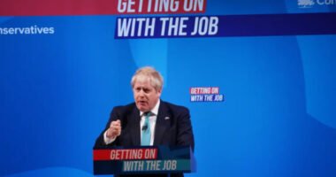 Rengetegen kiakadtak a brit miniszterelnök legújabb nyilatkozatán