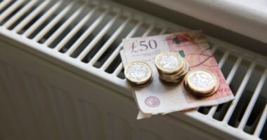 Havi 1600 fontot keresek Angliában, de támogatásokra szorulok és még így sem elég a pénzem hónap végéig – egy őszinte vallomás