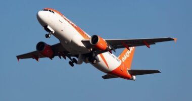 Pánik az egyik angliai repülőjáraton - egy nő közölte, hogy bomba van a gépen, majd megpróbálta kinyitni a vészkijáratot