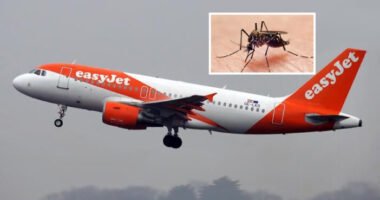 5 órát késett az egyik angliai repülőjárat, mert a kapitányt megcsípte egy szúnyog – az utasok teljesen kiakadtak