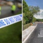 Útközben dőlt rá egy nagy fa egy család autójára Angliában: 1 halott, többen kórházban