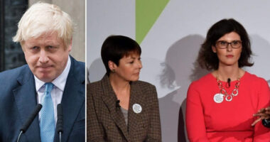 eljárás parlament kormány