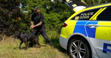 Levágott emberi végtagokat fognak használni kutyák kiképzésére Angliában