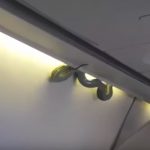 1 méteres kígyó szabadult el az utastérben egy repülőn