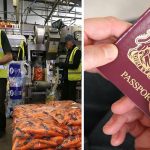 Több üzleti vezető is őszintén beszélt a bevándorlási tervekről Nagy-Britanniában