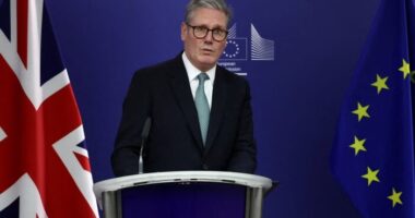 Hatalmas nyomás a brit miniszterelnökön - tízezrek követelik az EU-hoz való csatlakozást és rohamosan nő a petíciót aláírók száma