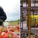 Hol dolgoznak az Angliába kijött EU bevándorlók 2018-ban