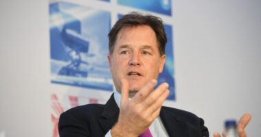 "Nagy-Britanniának újra csatlakoznia kell az EU-hoz, az unió az összeomlás szélén áll" - a volt miniszterelnök-helyettes figyelmeztetése