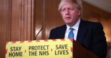 „A klubok, szórakozóhelyek, színházak újranyithatnak a gyorstesztek segítségével” – Boris Johnson