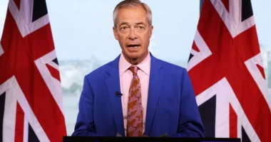 Politikai földrengés Nagy-Britanniában: Nigel Farage lemondott