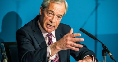 Botrányos tervvel állt elő a Reform UK: migránstáborok politikai alapon