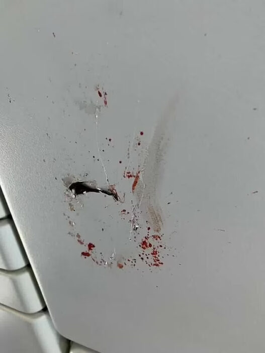 Káosz az egyik londoni repülőjáraton: az egyik utas tízezer méter magasan egy törött üveggel szúrta le utastársát 6