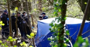 Fejetlen holttestet találtak fóliába csavarva Angliában