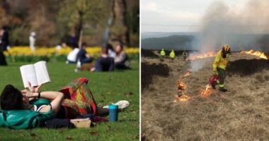 Ritka borostyánsárga tűzriasztást adtak ki az Egyesült Királyság nagy részére – a hőmérséklet hamarosan elérheti a 22°C-ot 21