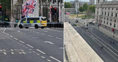 „Bombariadó” London szívében: a Westminster apátságot és környékét lezárták 6