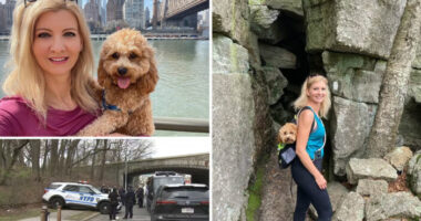 Külföldi magyar, kétgyermekes anyuka feldarabolt holttestét találták meg egy bőröndbe gyömöszölve Queensben