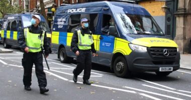 Gyalogosok közé hajtott egy kocsi Londonban: 1 kétéves kisgyermek életét vesztette