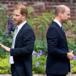 Teljesen eldurvul a királyi család körüli botrány: Harry herceg már fizikai bántalmazással vádolja a saját bátyját