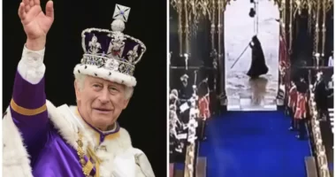 Hatalmas baki Károly koronázásán élő adásban, sokan pedig a kaszás halált vélték felfedezni a háttérben