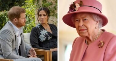 Áll a bál a királyi családnál: A Buckingham Palota reagált Harry és Meghan interjújára
