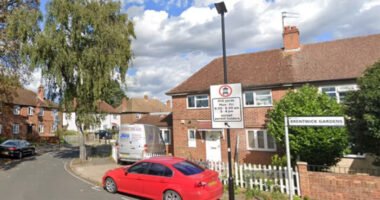 „Teljes volt a káosz”: 10 embert tartóztattak le, miután egy férfi meghalt egy házban Londonban