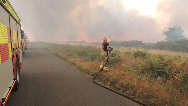Hatalmas tűzvész pusztít Angliában, Dorsetben: Rendkívüli állapotot hirdettek Hatalmas tűzvész pusztít Angliában, Dorsetben: Rendkívüli állapotot hirdettek