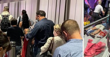 Többen is összeestek és elájultak a tömegben: egyre kaotikusabb állapotok a londoni reptéren