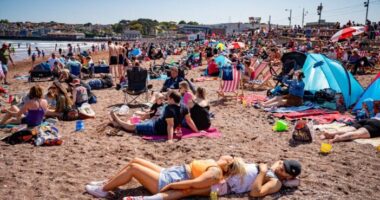 Szinte egész Angliára kiterjedő figyelmeztetés lépett érvénybe a mától kezdődő hőhullám kapcsán