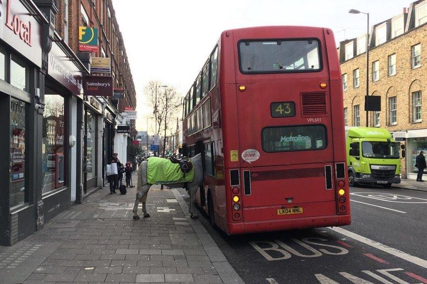 Bizarr látvány Londonban, amint egy ló „fel akart szállni” a buszra 2