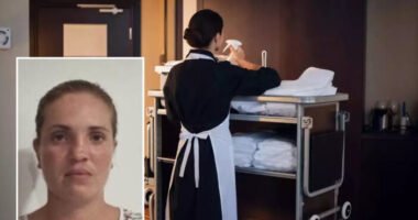 Rengeteg pénzt érő ékszert lopott egy kelet-európai származású szobalány egy londoni hotelből – nemzetközi hajtóvadászat indult