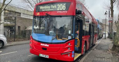 Kirúgtak egy buszsofőrt Londonban, miután üldözőbe vette a tolvajt, aki ellopta az egyik utas nyakláncát