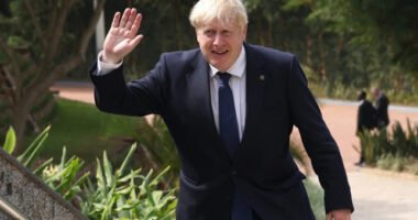 Még a saját párttagjai is kiröhögték, és azt mondták, „elment az esze” Boris Johnsonnak a legújabb kijelentése után