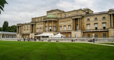 „Hatalmas lehúzás”: tömegesen szidják a nemrég megnyitott Buckingham Palotát