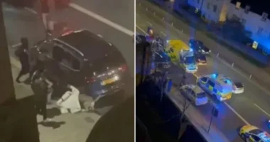 A rendőröknek kellett agyonlőnie egy XL Bully kutyát a nyílt utcán Londonban, miután egymás után 4 embert is összemarcangolt