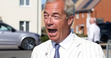 Farage visszatért a parlamentbe: Újraindult a vizsgálat az 5 millió fontos adomány miatt