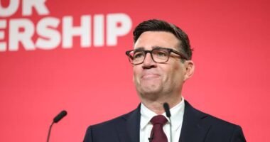 Andy Burnham nagy dobásra készülhet: az EU-val kötött új megállapodás döntheti el a következő választást